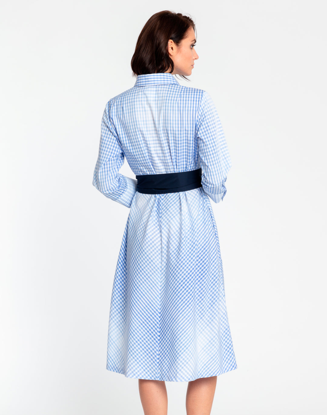 Riley 3/4 Sleeve Ombre Gingham Dress