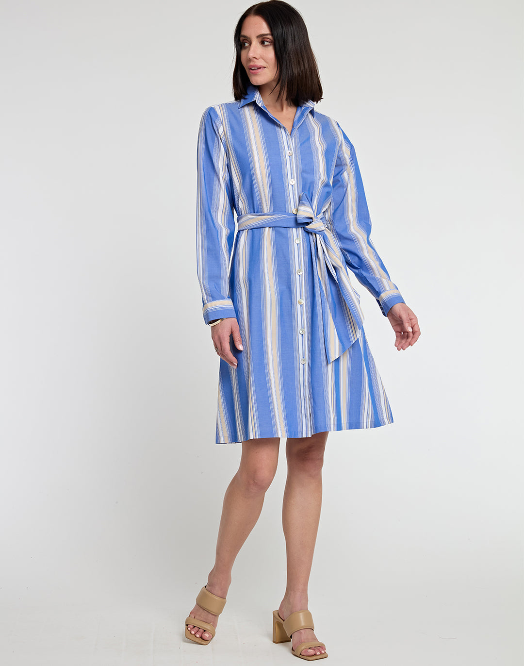 Tamron Long Sleeve Awning Stripe Print Dress