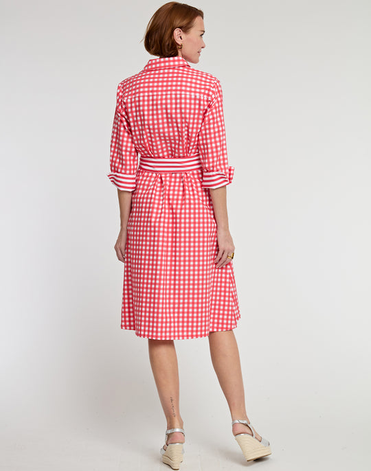 Tamron 3/4 Sleeve Stripe/Gingham Combo Dress