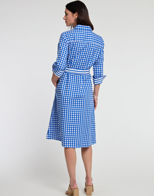 Tamron 3/4 Sleeve Stripe/Gingham Combo Dress