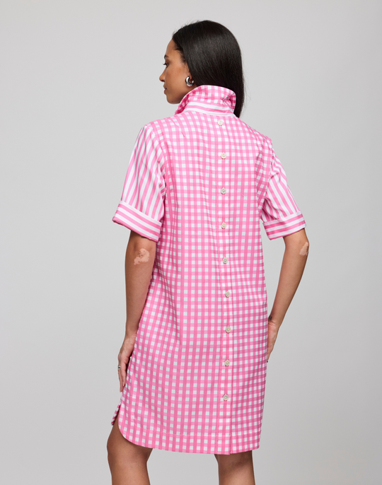 Aileen Short Sleeve Stripe/Gingham Dress