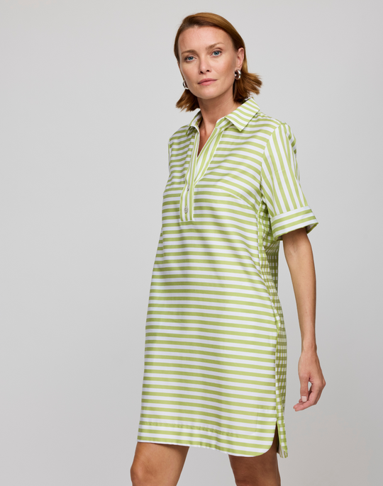 Aileen Short Sleeve Stripe/Gingham Dress